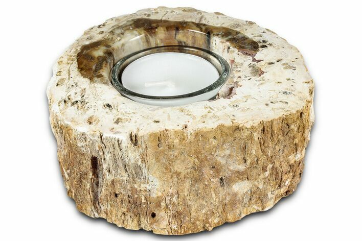Polished Petrified Wood Candle Holder - Madagascar #337547